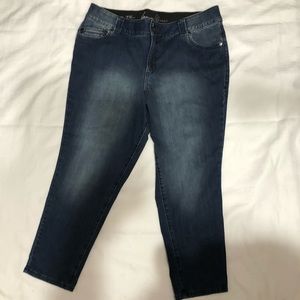 Lane Bryant Skinny Jeans